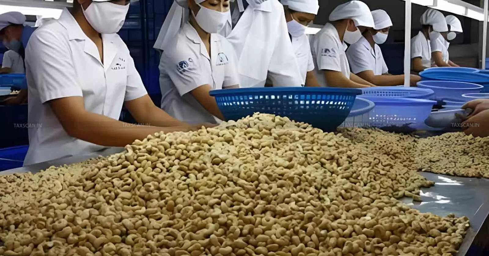 Cashew - Units - Property - Taxscan Cashew - Units - Property - Taxscan