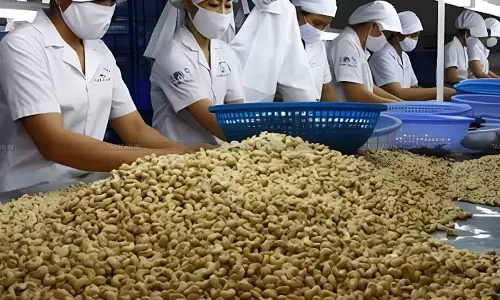 Cashew - Units - Property - Taxscan Cashew - Units - Property - Taxscan