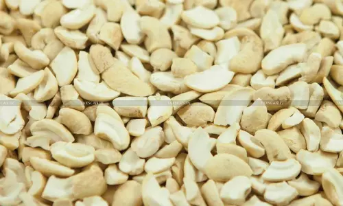 Cashew Nut Pieces - Customs Act - Andhra Pradesh HC - DRI - taxscan Cashew Nut Pieces - Customs Act - Andhra Pradesh HC - DRI - taxscan