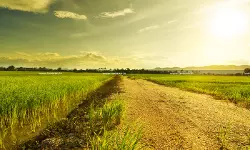 Capital Gain addition of ₹1.11 Cr Addition for Sale of Agricultural Land: ITAT Restores Matter for verification [Read Order]