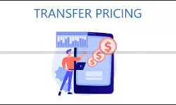 Transfer Pricing Audit, ITR Deadline, CAs