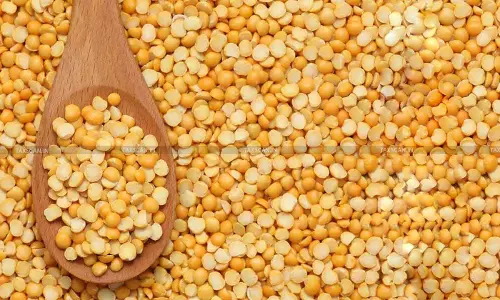 Import of Yellow Peas