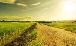 Agricultural-land-sale-taxscan Agricultural-land-sale-taxscan