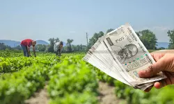 Tissue Culture Cannot Be Isolated from Nursery Activity: ITAT Treats Entire Nursery Receipts as Agricultural Income Exempt u/s 10(1) [Read Order]