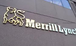 Revenue Expenditure, Licence to use Software, Merrill Lynch Case