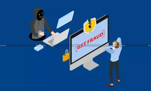 Allahabad High Court, GST Fraud, grants bail