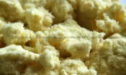 Fibre Length in Import - Para-Aramid Pulp - CESTAT Bars Extended - Customs - taxscan