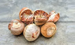 Supreme Court Set to Hear Empire Exports in Betel Nut Import Case Challenging Calcutta HC Order of Fresh Adjudication [Read Judgement]