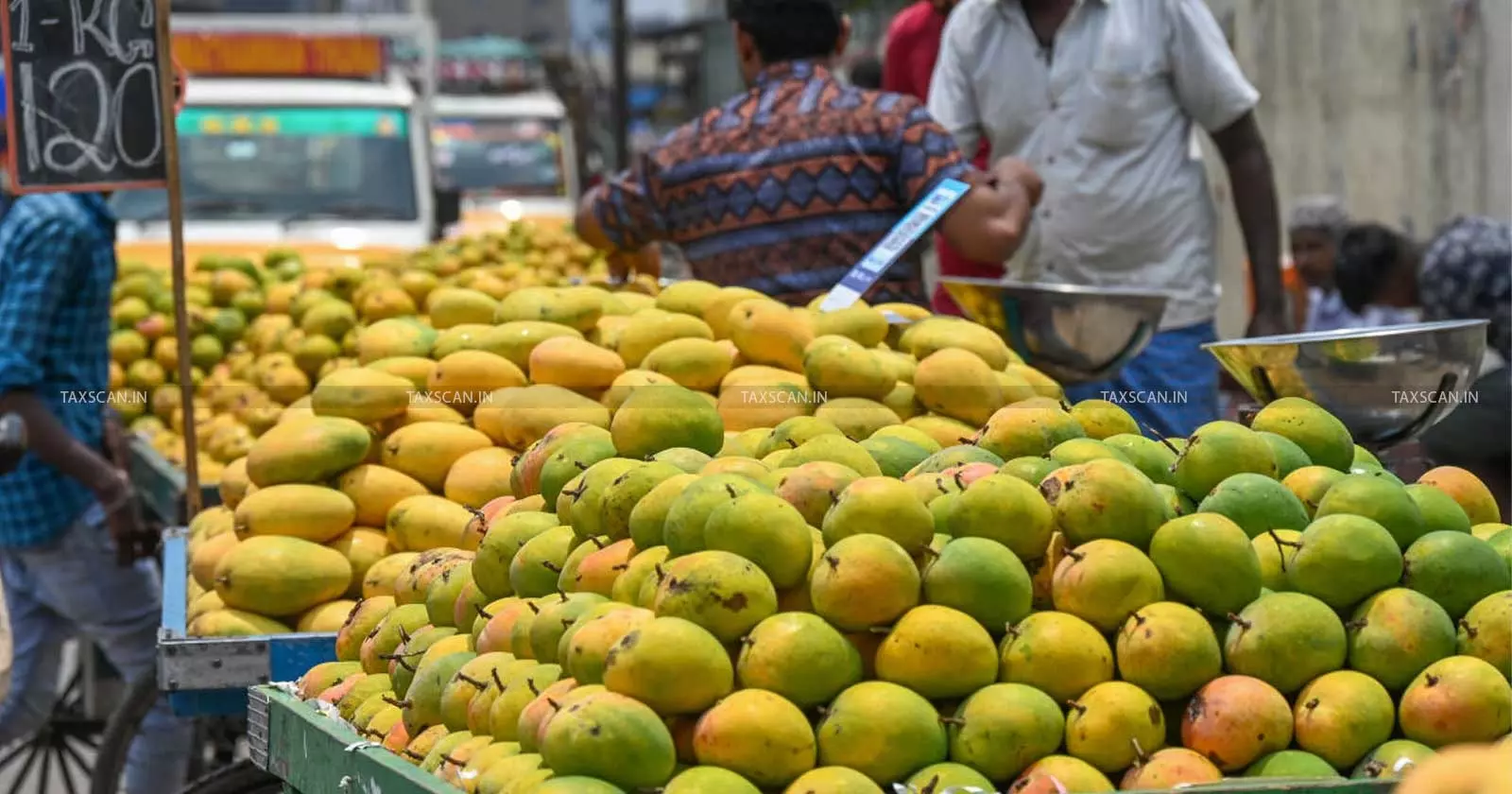 Landowner’s ₹1.44 Cr Agricultural Income from Mango Sales Triggers Scrutiny: ITAT Deletes ₹1.20 Cr Addition [Read Order]