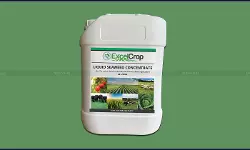 Seaweed Extract - taxscan