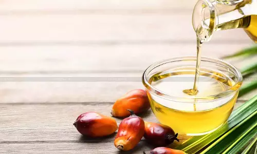 Fire Loss No Ground - Exemption - CESTAT Orders Ajanta Soya - Pay Duty - All Lost - Short Crude Palm Oil