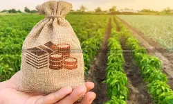 Kerala HC Disallows Deduction u/s 37  for Interest on Agricultural Income Tax Payment Delays [Read Order]