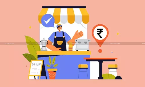 MCA - small company definition - TAXSCAN