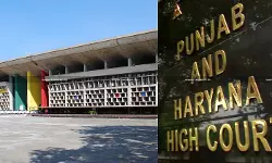 Regd. Seller cannot be Denied Tax Deduction because Regd. Dealer Stole ST-15 Forms: Punjab & Haryana HC [Read Order]