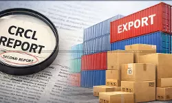 Second CRCL Report Prepared without Drawing Fresh Samples of Exported Products Delhi HC Questions Customs