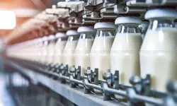 Subsidy from Govt Rehabilitation Scheme Milk Producers’ Co-operative is Capital Receipt, Not Taxable as Revenue Receipt: Madras HC [Read Order]