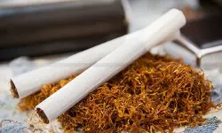 Tobacco - Gutkha - Tobacco & Gutkha - Chewing tobacco excise - Gutkha excise duty - tobacco excise duty - taxscan Tobacco - Gutkha - Tobacco & Gutkha - Chewing tobacco excise - Gutkha excise duty - tobacco excise duty - taxscan