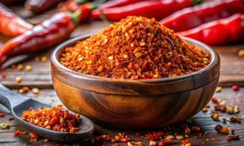 Retrospective Application of TMA Scheme Impermissible Under FTDR Act: Delhi HC Partly allows Chilli Exporters’ Plea [Read Order]