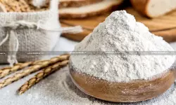 Madras HC directs DRI to Decide Whether ‘Vital Wheat Gluten’ is covered by DFIA for Wheat Flour [Read Order]