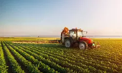 Village Officer Certificate Alone Not Enough to Prove Agricultural Land: Supreme Court upholds Capital Gains Tax on Sale of Land [Read Order]