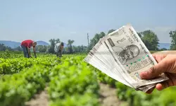 Income Earned from Sale of Tissue-Cultured Plants is Agricultural Income, Exempted from Income Tax: Telangana HC [Read Order]