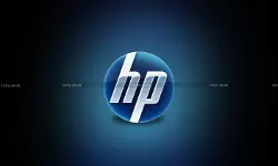 CA, CMA, Vacancies in HP