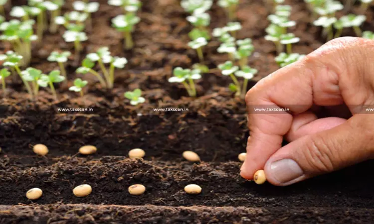 Chilly Seeds for Sowing Classified Under CTH 1209, Not CTH 0904: CESTAT Rules Chemical-Treated Seeds Not Classifiable as Spices [Read Order]