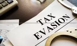 Service Tax Evasion - Serious Economic Offence - Punjab & Haryana HC - Bail - Director - taxscan Service Tax Evasion - Serious Economic Offence - Punjab & Haryana HC - Bail - Director - taxscan