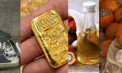 FinMin Revises Customs Tariff Values for Edible Oils, Gold, Silver and Brass Scrap [Read Notification]