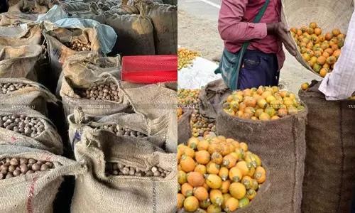 Betel Nut Smuggling: Calcutta HC Holds Seizure Memo not Invalid for Lack of Detailed Reasons when Prima Facie Grounds Exist [Read Order]