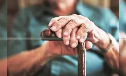 Senior Citizens - TDS limit for senior citizens - Senior citizens interest income TDS limit doubled - taxscan