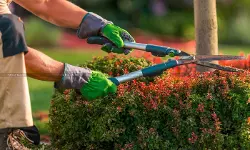 Landscaping & Garden Maintenance Taxable as ‘Management, Maintenance or Repair Service’: CESTAT upholds Service Tax Demand [Read Order]