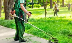 Article 243W Does not Grant Tax Immunity to Private Contractors: CESTAT confirms Service Tax on Park & Garden Maintenance [Read Order]