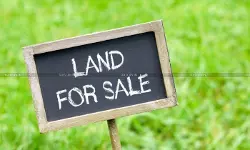 Land sale - Insight portal collapse - ITAT - Income Tax Reassessment - taxscan