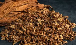 Tobacco Leaves - BAS - CESTAT - Service Tax Demand - taxscan