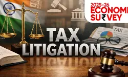 How to Excel in Tax Litigation: Tips and Tricks from Leading Tax Reporting Platforms How to Excel in Tax Litigation: Tips and Tricks from Leading Tax Reporting Platforms