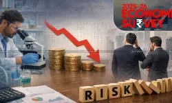 Economic Survey Flags Low R&D Spend & Risk Aversion in Indian Corporate Investment