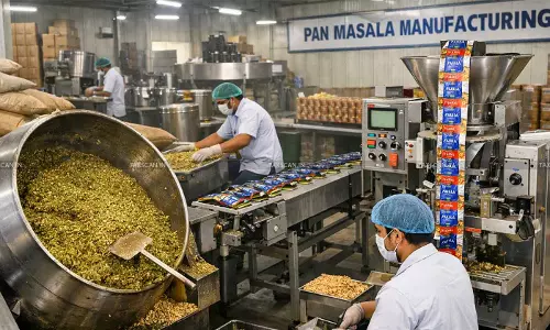 HSNS Cess - Pan Masala Manufacturing - Mandatory Registration - Declaration - Monthly Payment - Returns Prescribed - taxscan HSNS Cess - Pan Masala Manufacturing - Mandatory Registration - Declaration - Monthly Payment - Returns Prescribed - taxscan