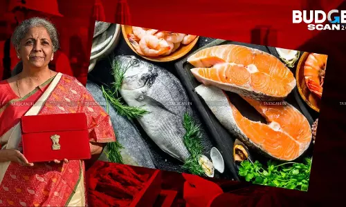 Budget 2026 Boosts Marine Exports: Duty-Free Fish Catch in EEZ and High Seas [Read Finance Bill 2026]