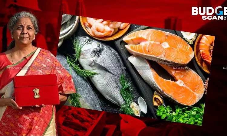 Budget 2026 Boosts Marine Exports: Duty-Free Fish Catch in EEZ and High Seas - taxscan Budget 2026 Boosts Marine Exports: Duty-Free Fish Catch in EEZ and High Seas - taxscan