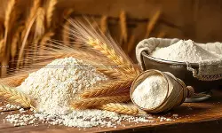 DGFT - Wheat Flour - Wheat flour export - DGFT wheat flour export - Wheat flour export policy - DGFT circular wheat Flour - taxscan DGFT - Wheat Flour - Wheat flour export - DGFT wheat flour export - Wheat flour export policy - DGFT circular wheat Flour - taxscan