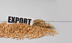 DGFT Opens Application Window for 25 LMT Wheat Exports [Read Notification]
