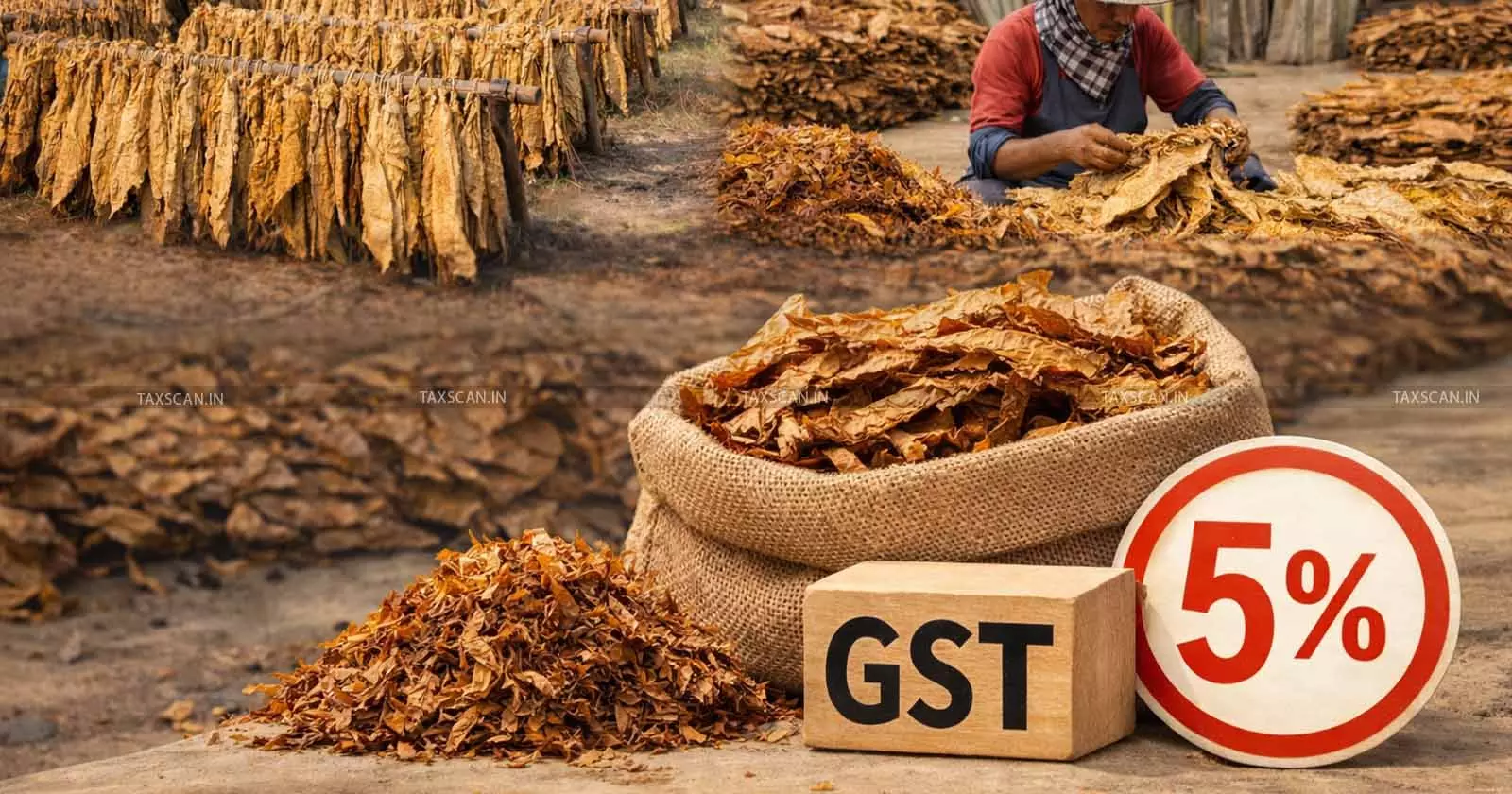 Sun-Cured, Graded & Butted Tobacco Leaves Qualify as Tobacco Leaves, Taxable at 5% GST: AAR [Read Order]