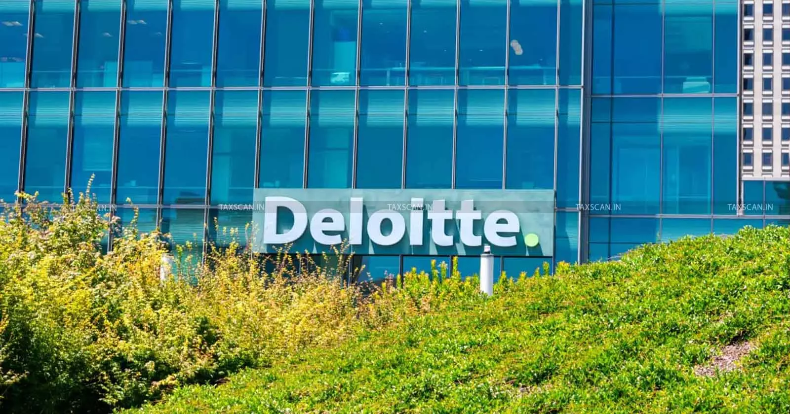 Deloitte executive job vacancy - Taxscan