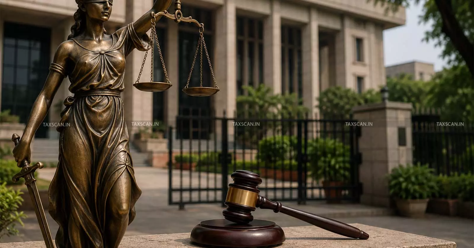 Delhi HC Grants Bail to Women Accused Under PMLA