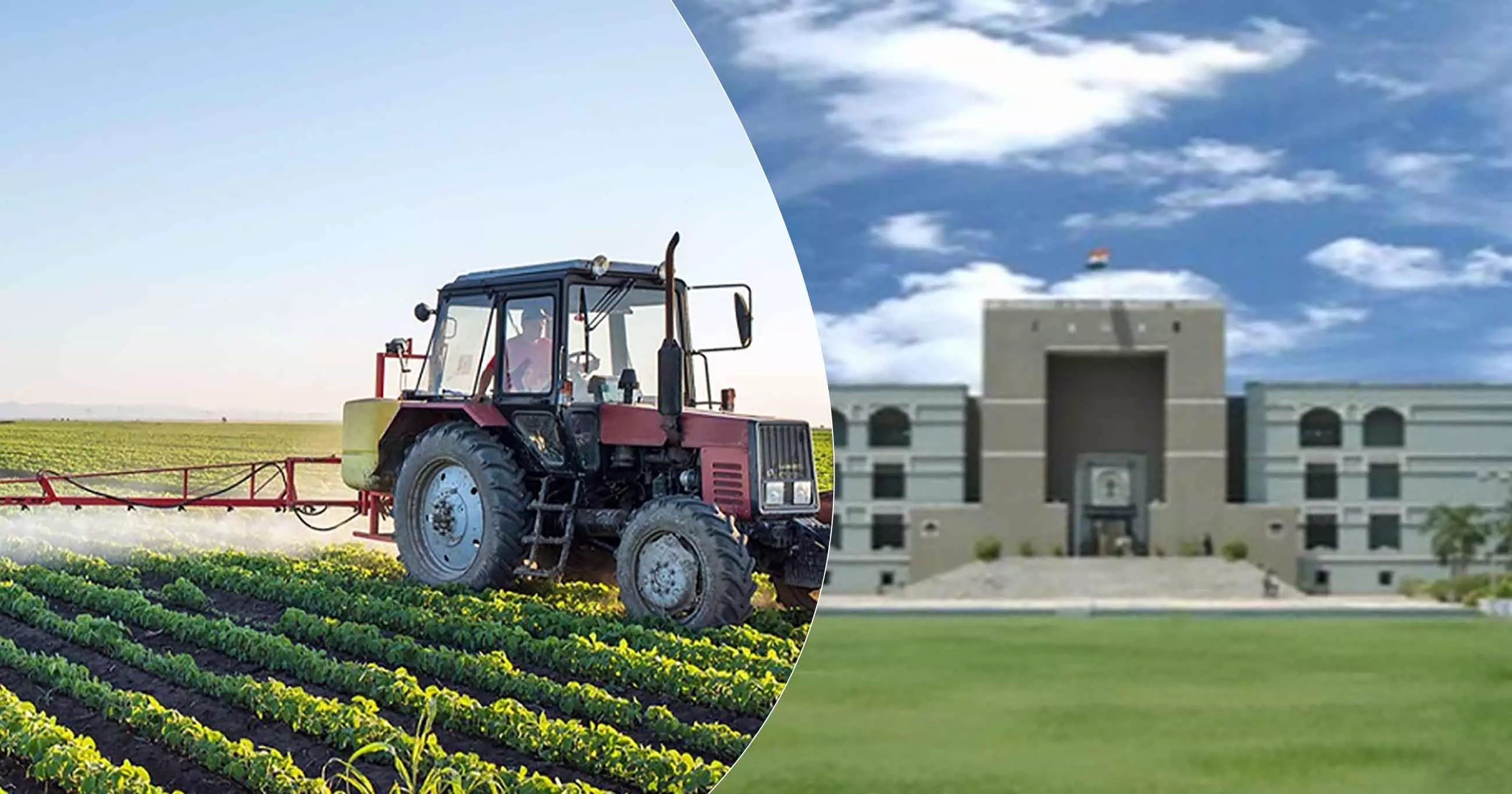 Gujarat HC Rules on Education Qualifications for Agricultural Valuers