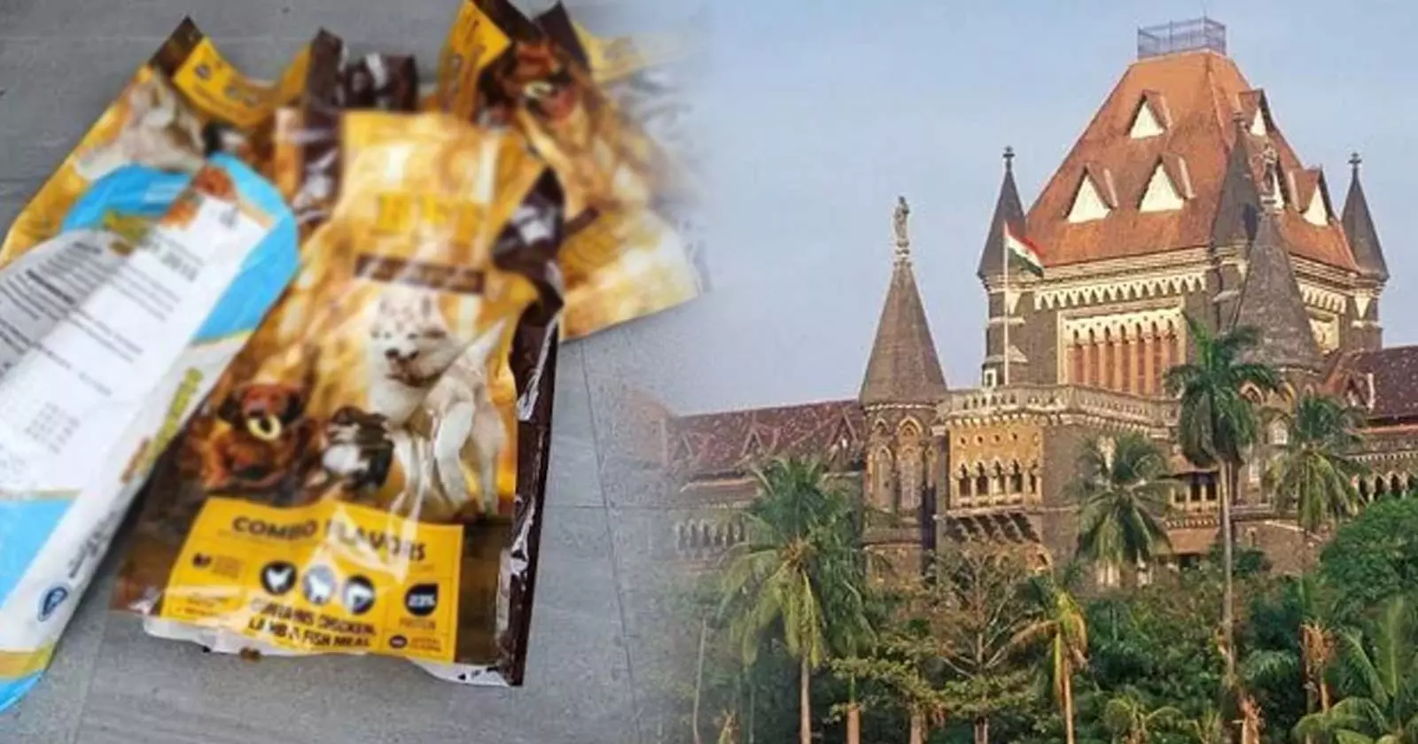 Bombay HC Classifies 20-kg Imported Pet Food Bags as 'Retail Packs'