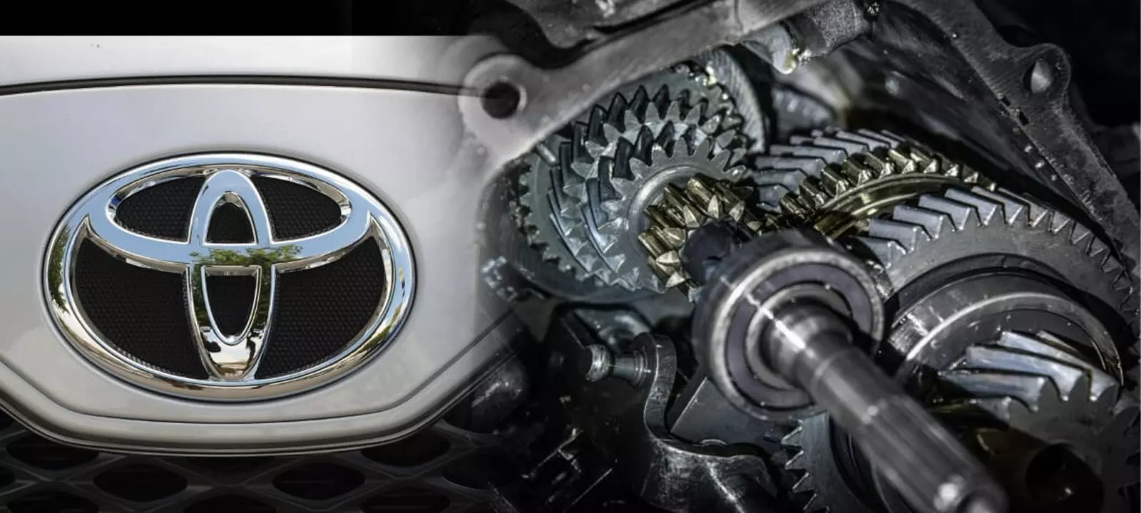 Automotive Gears Classifiable as ‘Gears and Gearing’, Not Motor-Vehicle Parts