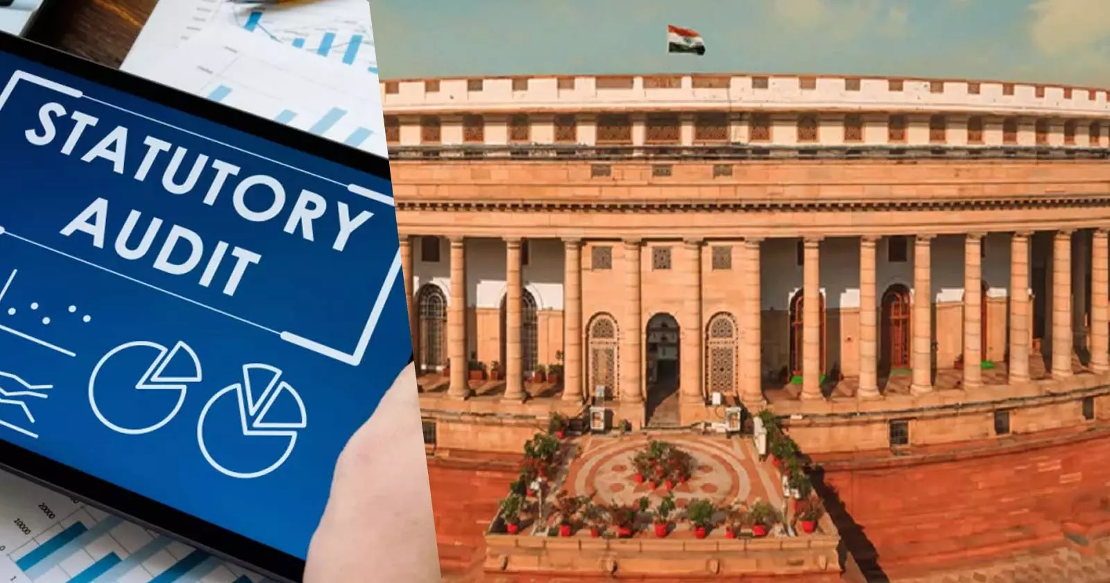 Statutory Audit Exemption for Certain Private Companies Recommended