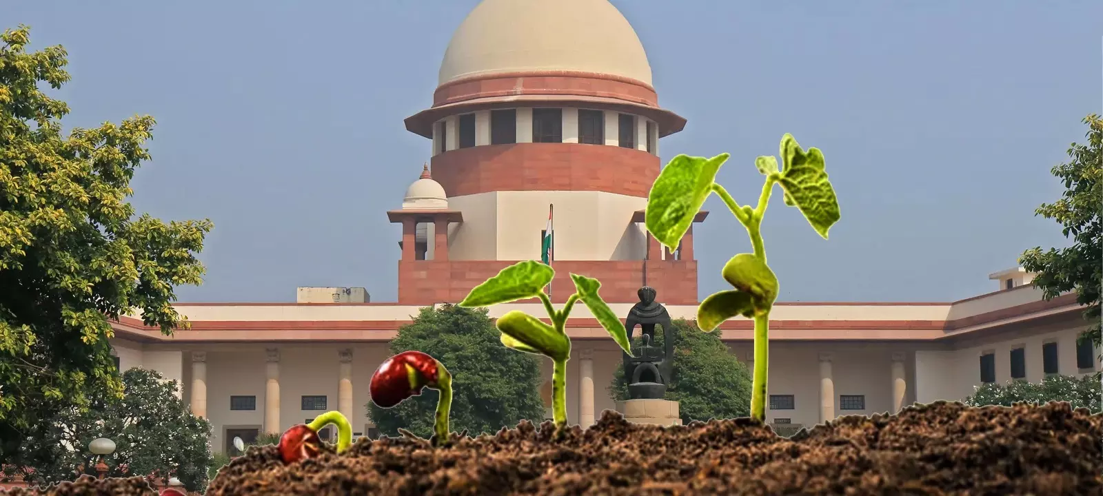 Supreme Court to Rule on Seed Sale Income Taxation